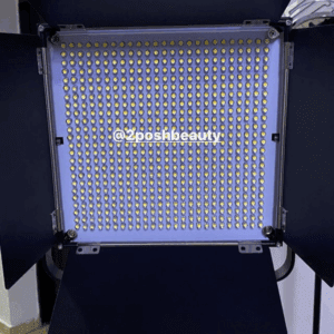 LED 660 Light With Batteries and Charger