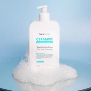 Face Facts Blemish Clarifying Foaming Cleanser