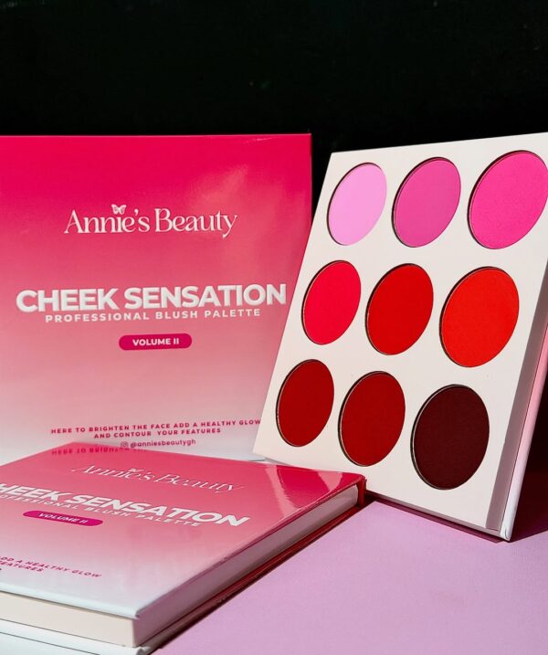 Anniesbeauty Cheek Sensation Blush Palette Vol II