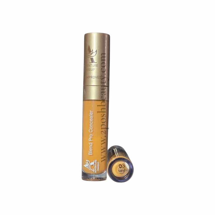 Adventure Blend Pro Concealer