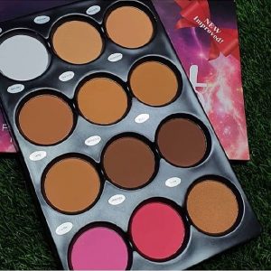 Micolor 12in1 Powder Palette with Blush