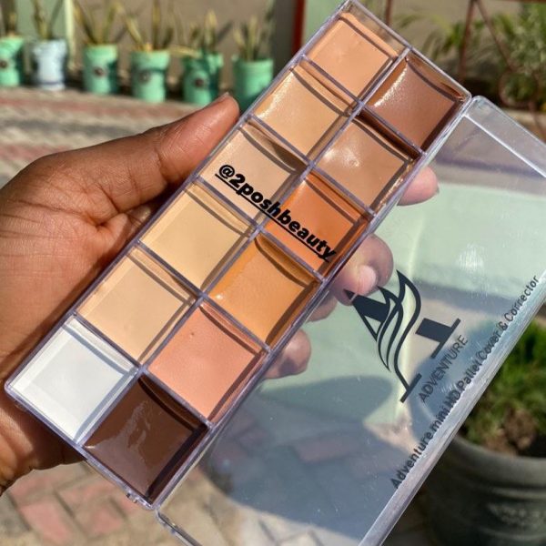 Adventure Concealer Palette
