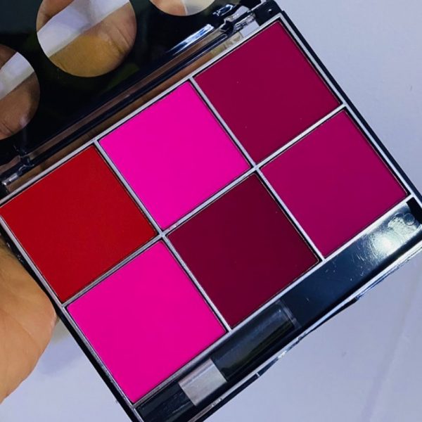 6in1 Blush Palette