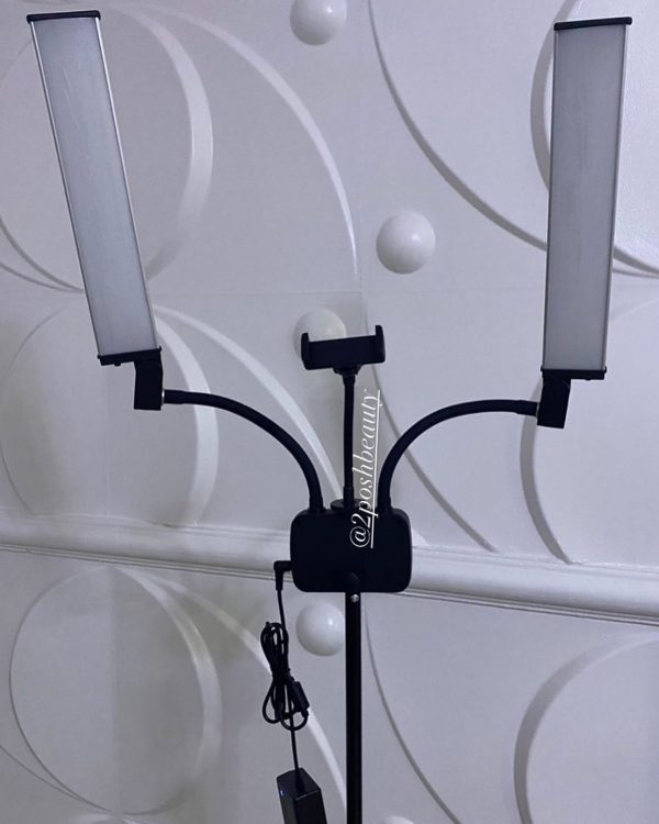 Double Arm Light