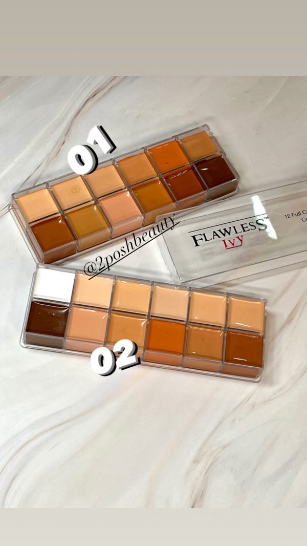 Flawless Ivy Concealer Palette