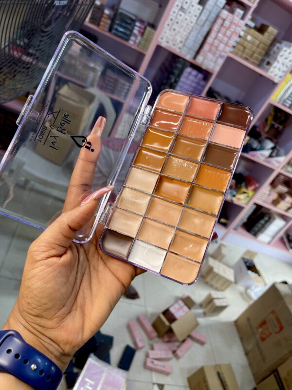 Flawless Ivy X ToniaX 24Colour Concealer Palette