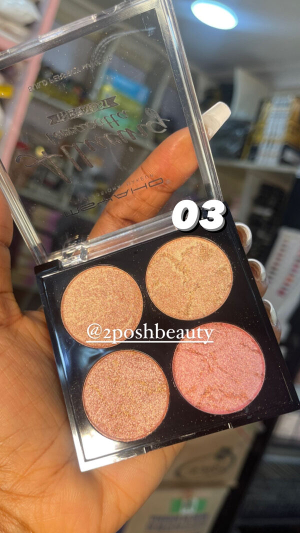 Msyaho 4in1 Highlighter