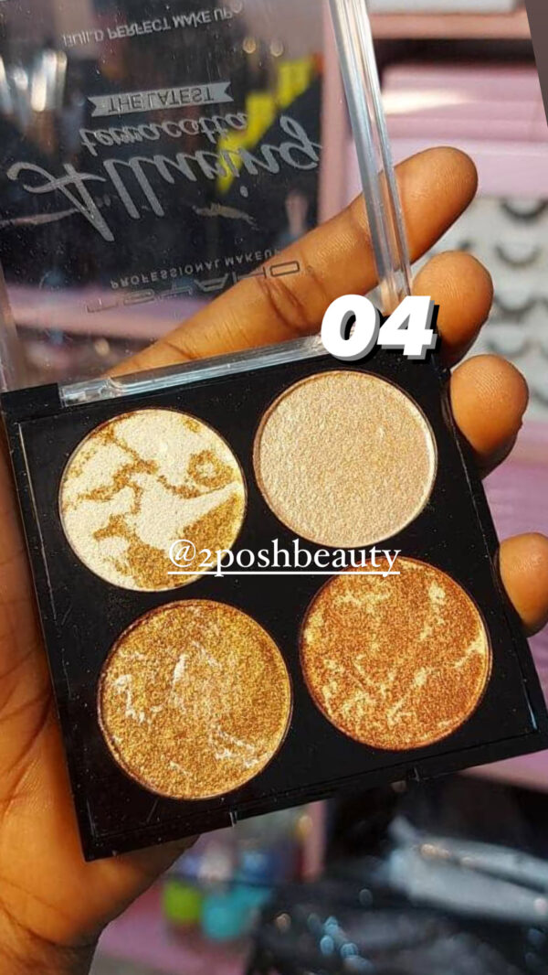 Msyaho 4in1 Highlighter