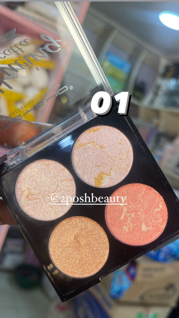 Msyaho 4in1 Highlighter