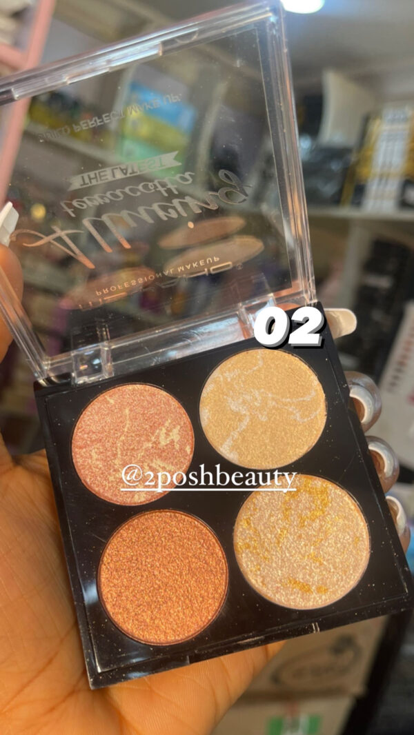 Msyaho 4in1 Highlighter