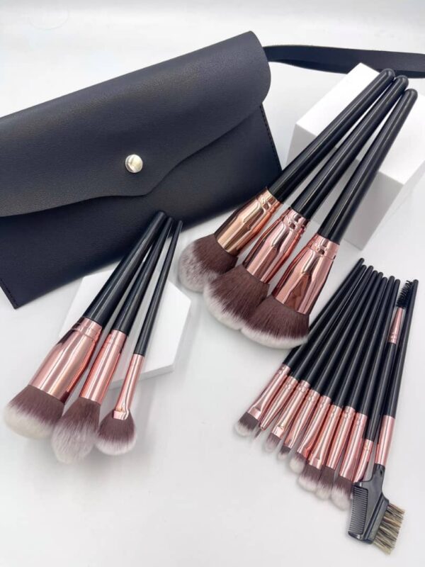 16pcs Unbranded Brush Set with purse