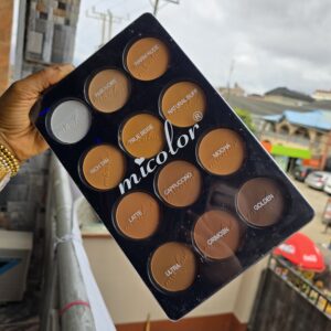 Micolor 12in1 Powder palette without Blush