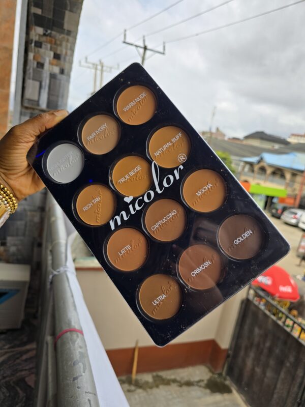 Micolor 12in1 Powder palette without Blush