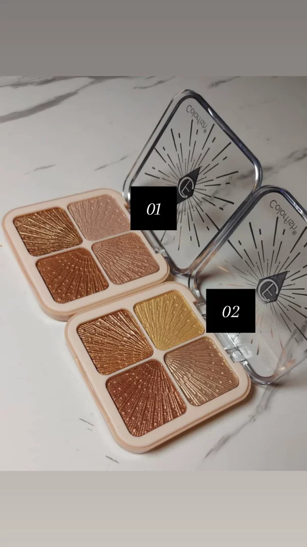 Colorfish 4in1 Highlighter