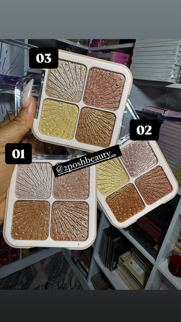 Colorfish 4in1 Highlighter