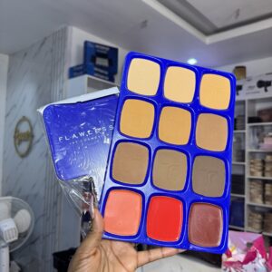 Flawless Ivy All in one Powder Palette