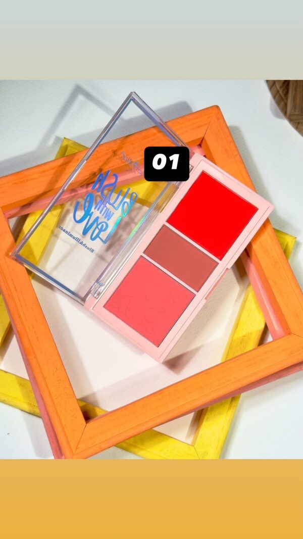 Merry Color 3in1 Blush Palette