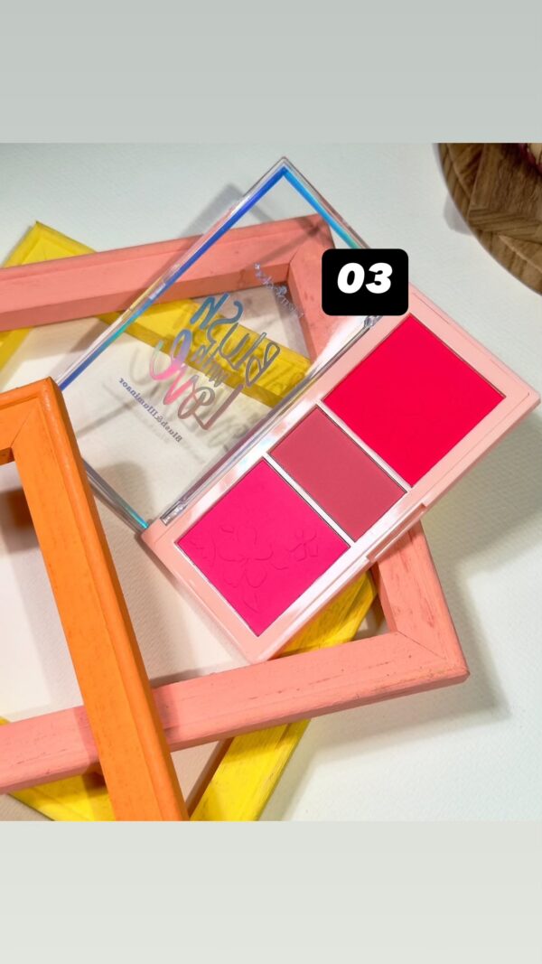 Merry Color 3in1 Blush Palette
