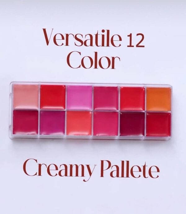 Ceendies Lip & Cheek Palette