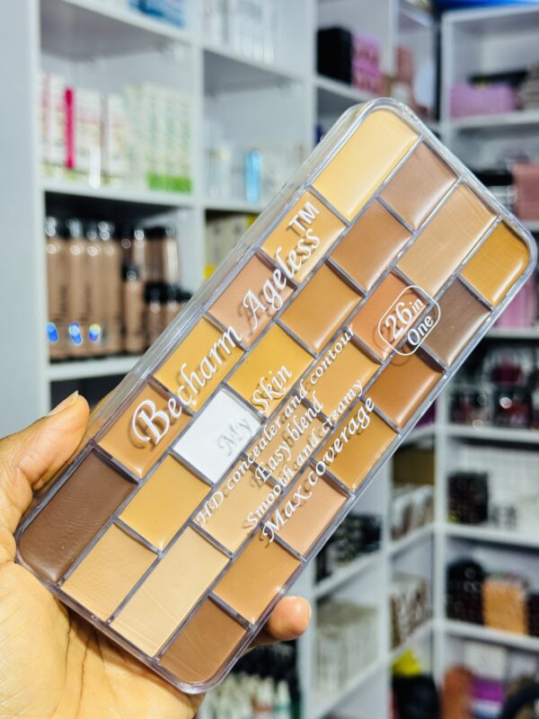 Becharm 26in1 Concealer Palette