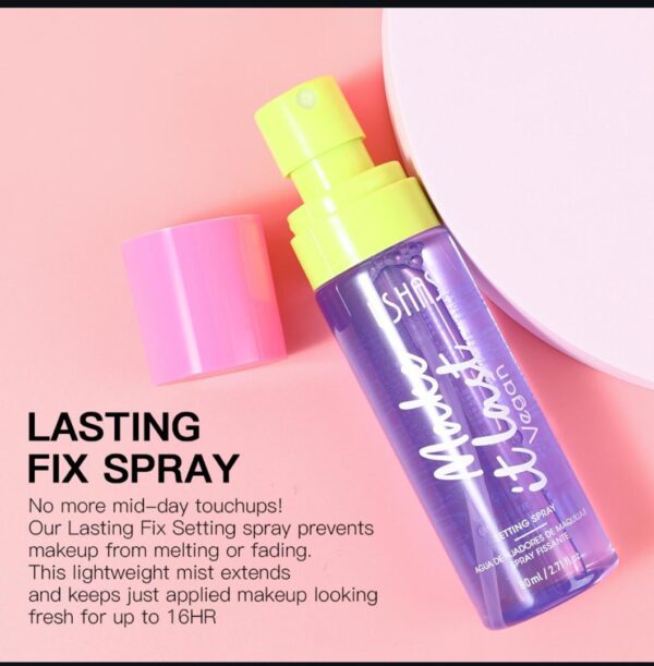 Ushas Make It Last Setting Spray
