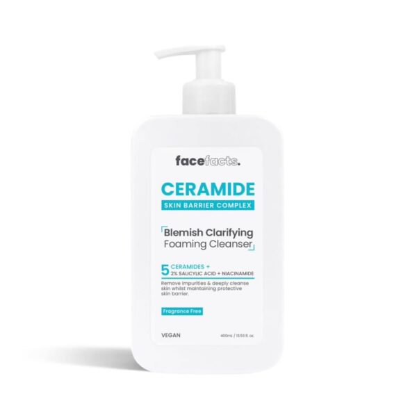 Face Facts Blemish Clarifying Foaming Cleanser